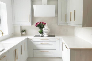 @2wivesathome Faber Wall Hood Tweet in White Glass